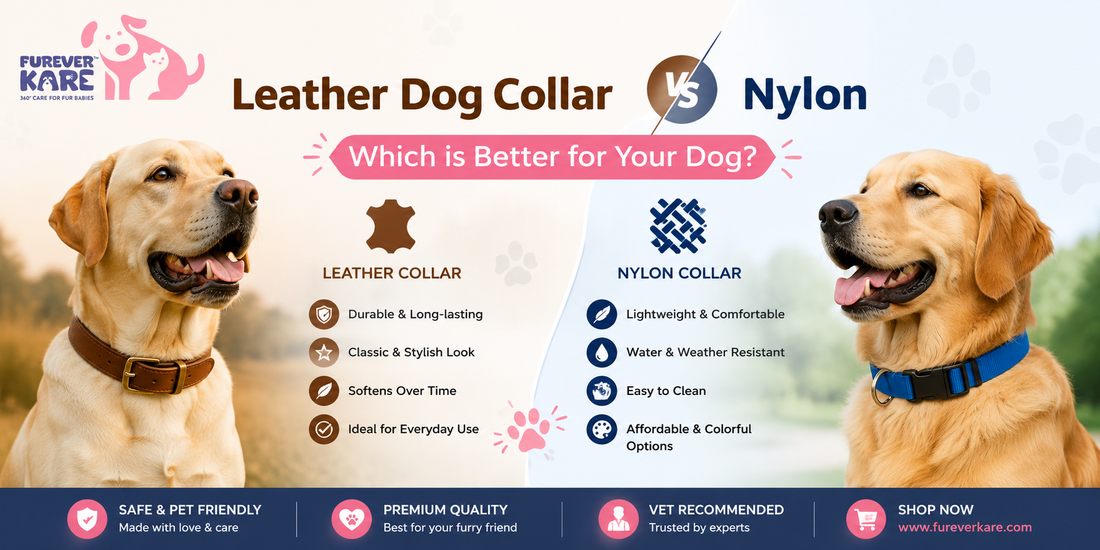 leather dog collar vs nylon
