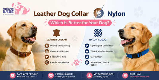 leather dog collar vs nylon