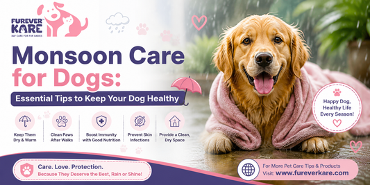 monsoon care for dogs