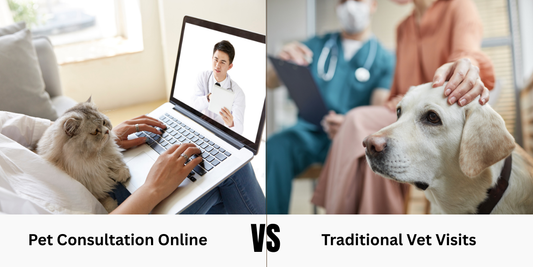 Pet Consultation Online vs Traditional Vet Visits