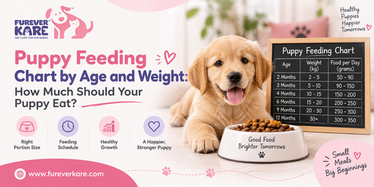 puppy feeding chart