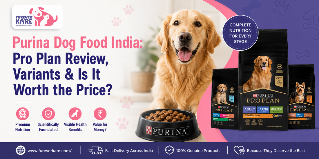 purina dog food india