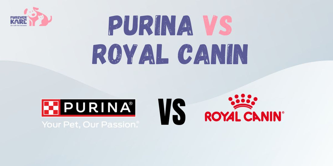 Purina vs Royal Canin