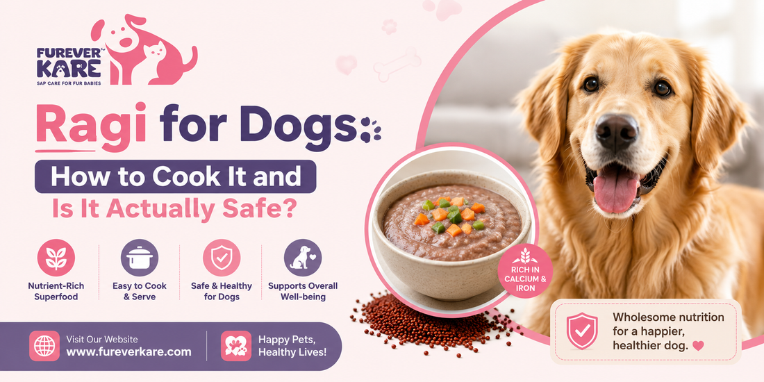 ragi for dogs