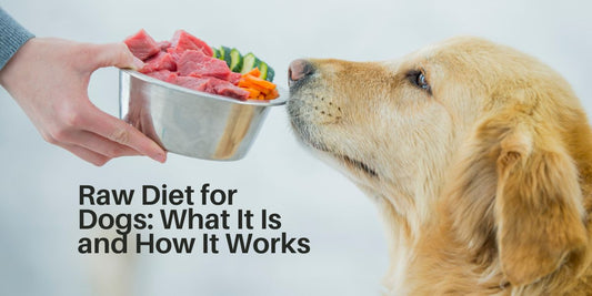 Raw Diet for Dogs