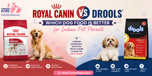 royal canin vs drools
