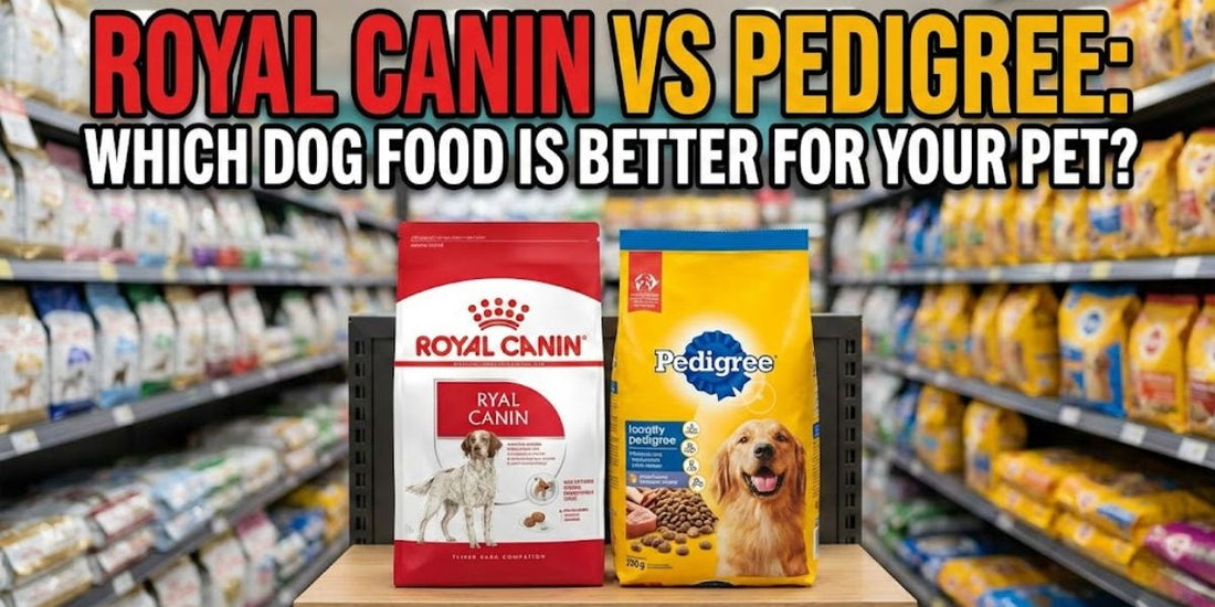 Royal Canin vs Pedigree: Which Dog Food Is Better  Furever Kare