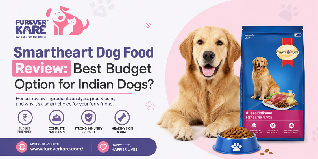 smartheart dog food review