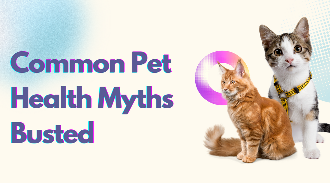 Common Pet Health Myths Busted: What Every Pet Owner Should Know