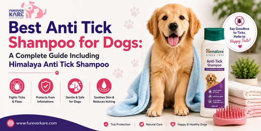 anti tick shampoo for dogs