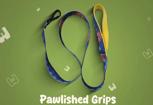 How to Choose the Safest Leash for Your Cat or Dog