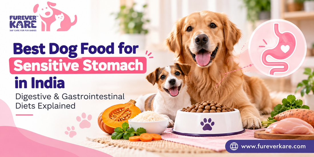 best dog food for sensitive stomach