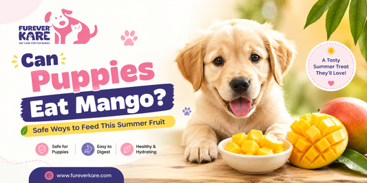 can puppies eat mango