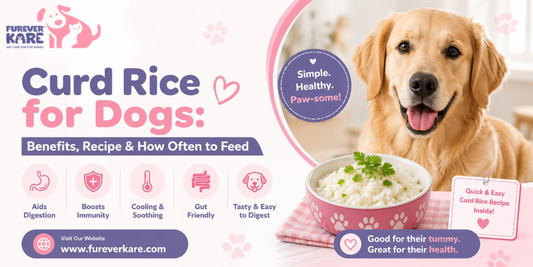 curd rice for dogs