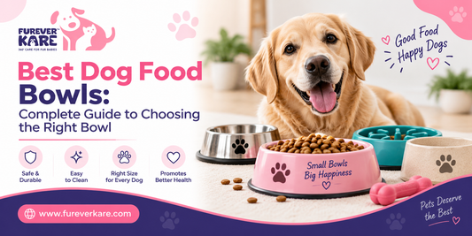dog food bowls