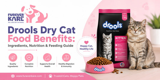 drools dry cat food