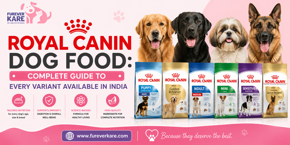 Royal Canin dog food India