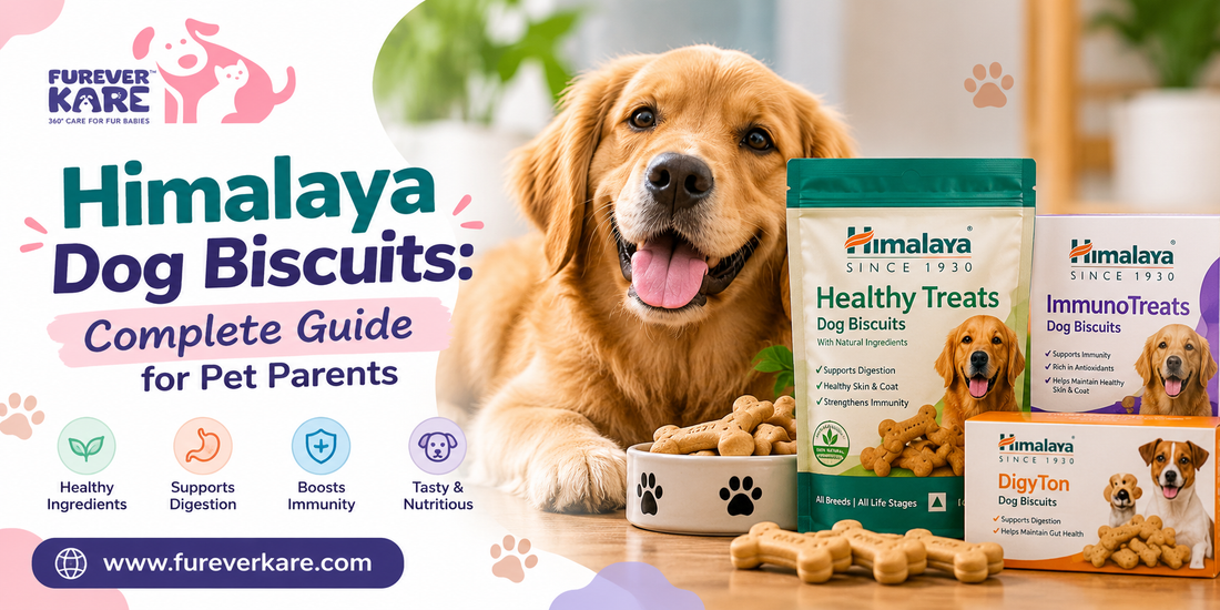 himalaya dog biscuits