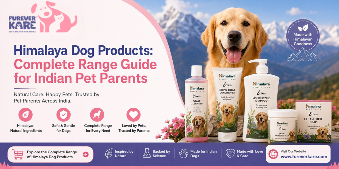 himalaya dog products india