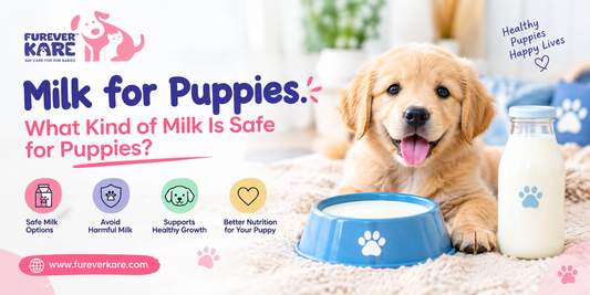 milk for puppies