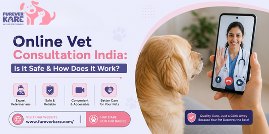 online vet consultation india