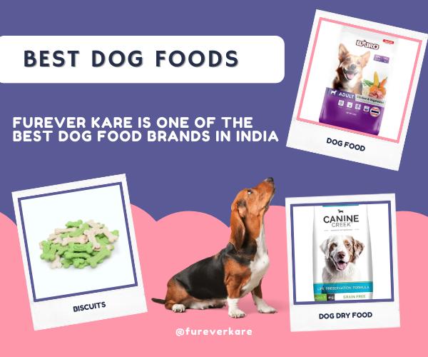 Best Dog Food Online in India