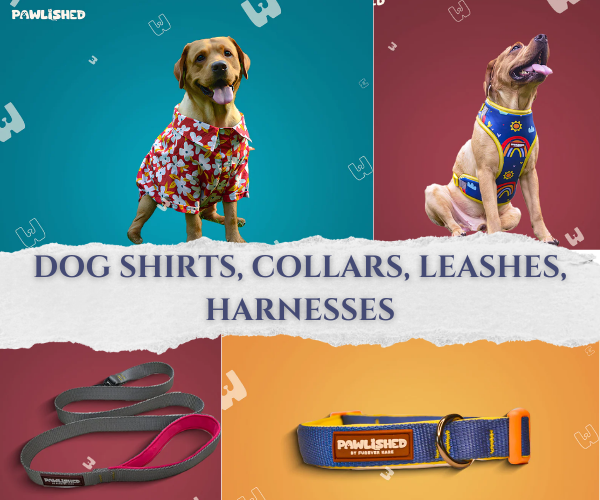 Dog Shirts, Collars, Leashes, Harnesses
