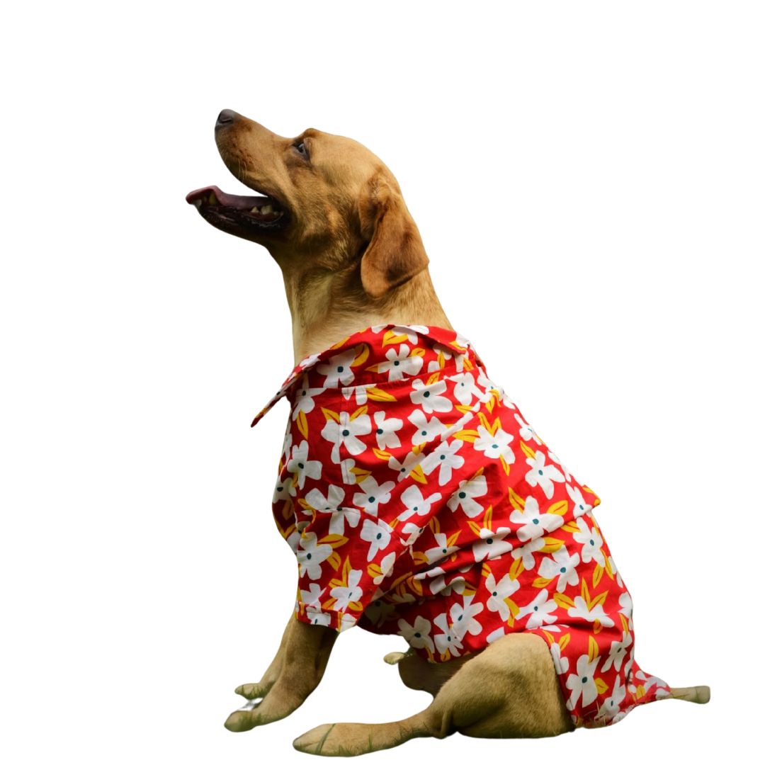PAWLISHED Cherry Chase Summer Shirts