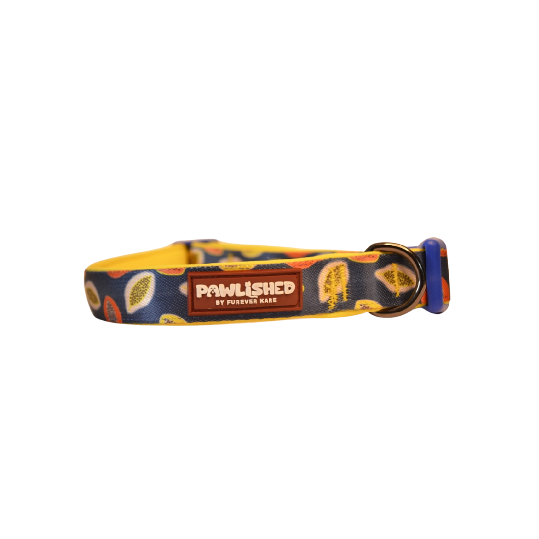 PAWLISHED Pup Straps - Midnight Maze Padded Collars