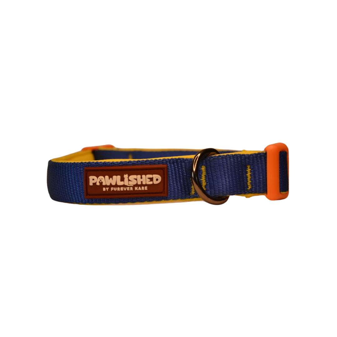 PAWLISHED Pup Straps - Blue Bay Padded Collars