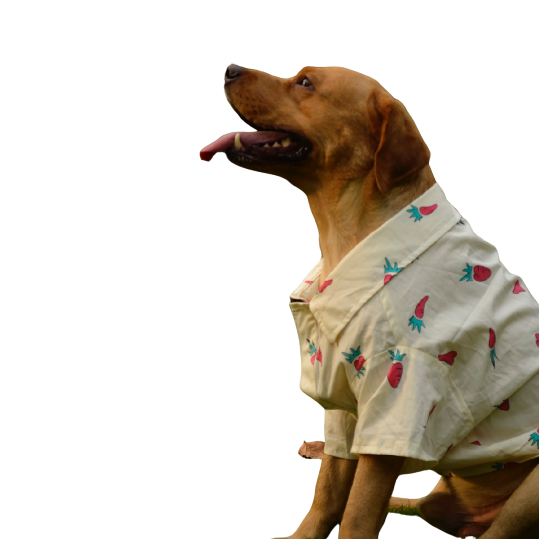 PAWLISHED Vanilla Wag Summer Shirts