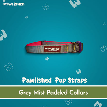PAWLISHED Pup Straps - Grey Mist Padded Collars