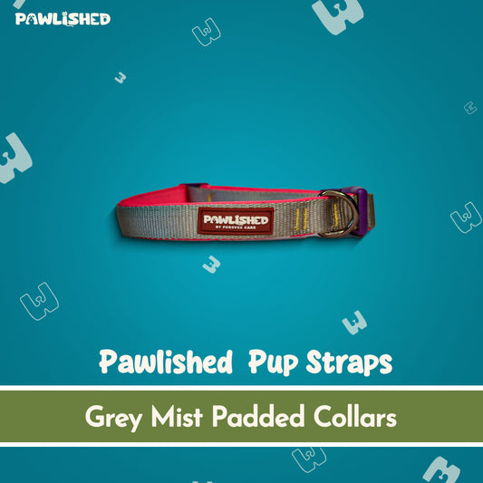 PAWLISHED Pup Straps - Grey Mist Padded Collars