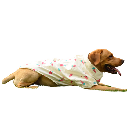 PAWLISHED Vanilla Wag Summer Shirts