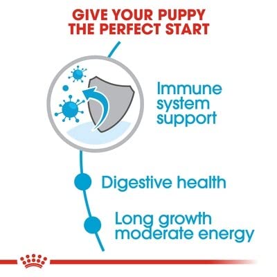 Royal Canin Maxi Puppy Dog Food
