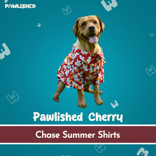 PAWLISHED Cherry Chase Summer Shirts