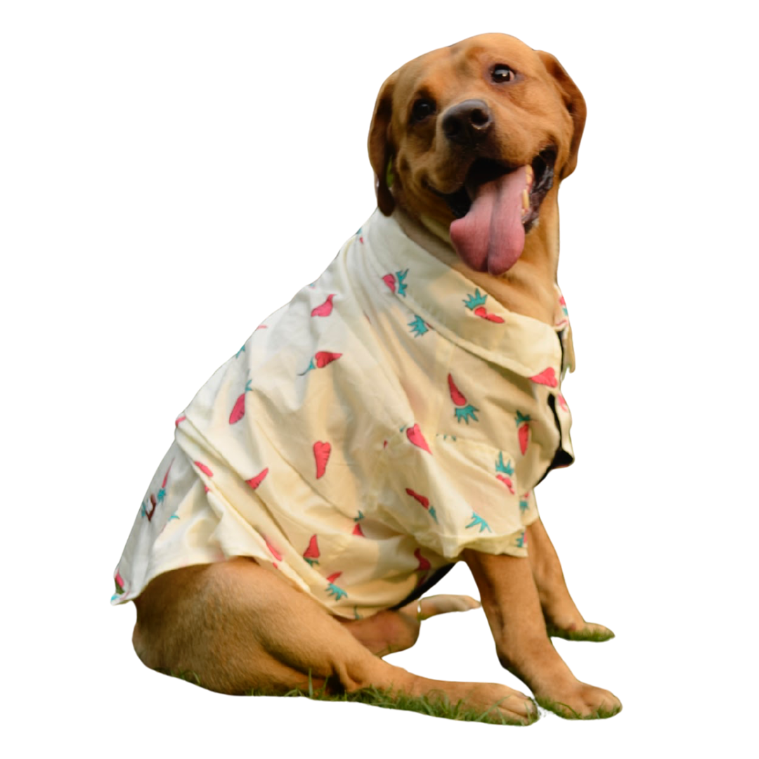 PAWLISHED Vanilla Wag Summer Shirts