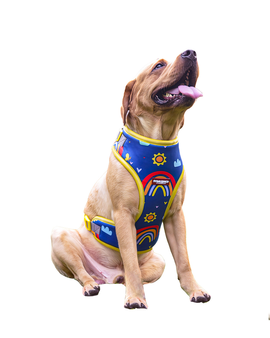 PAWLISHED Embrace - Rainbow Romp Padded Harnesses