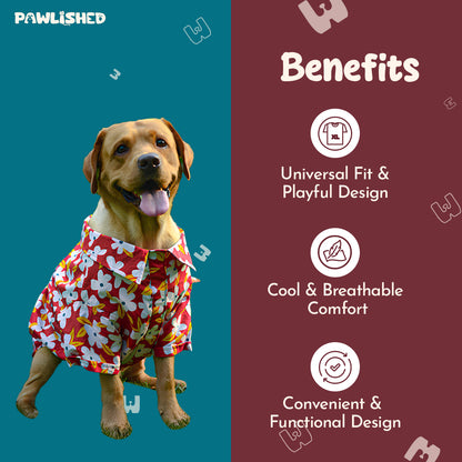 Drools & Pawlished Duo Combo