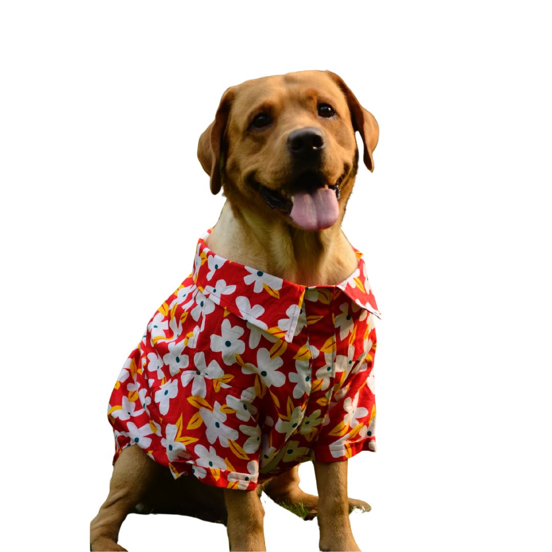 PAWLISHED Cherry Chase Summer Shirts