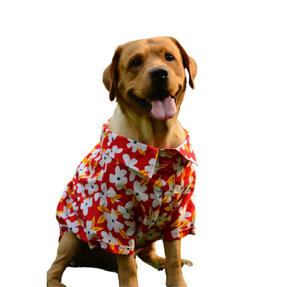 PAWLISHED Cherry Chase Summer Shirts