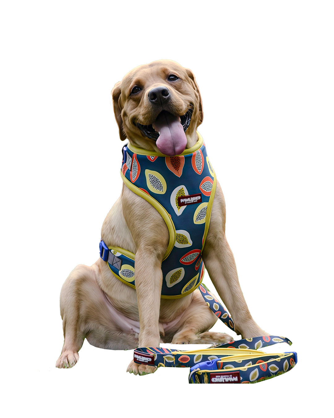 PAWLISHED Embrace - Midnight Maze Padded Harnesses