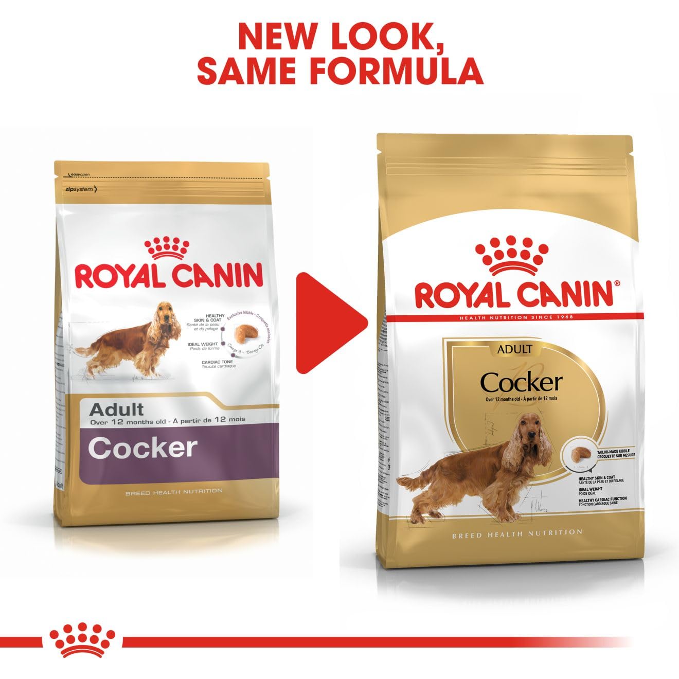 Royal Canin Dry Dog Food for Adult Cockers