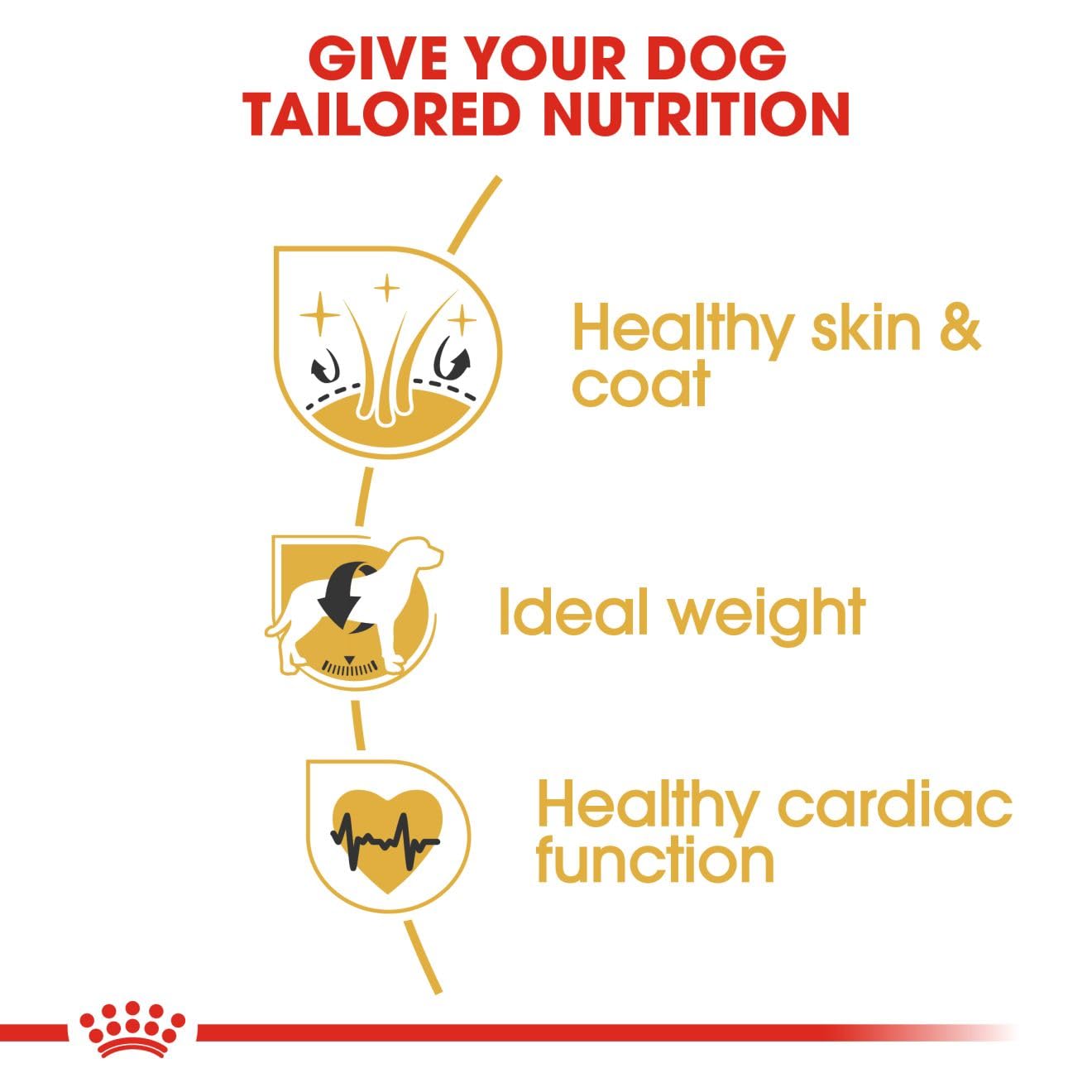 Royal Canin Dry Dog Food for Adult Cockers