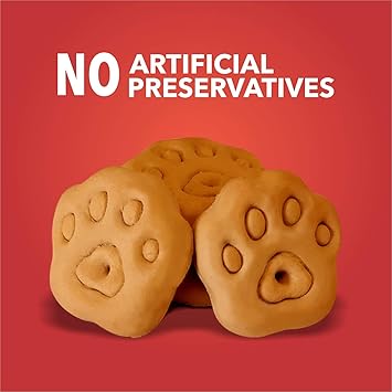 Drools Dog Treat Biscuits, Chicken and Egg Flavor Jar