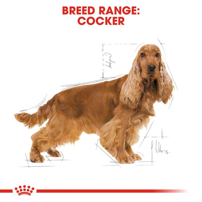 Royal Canin Dry Dog Food for Adult Cockers