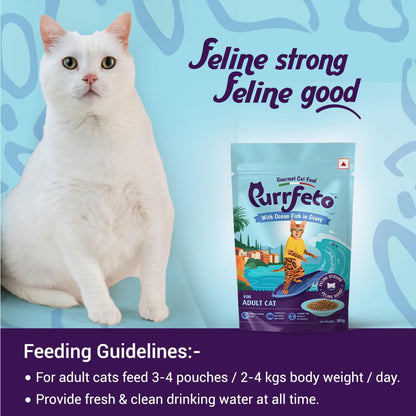 Purrfeto With Ocean Fish In Gravy Adult