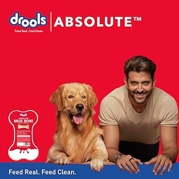 Drools Absolute Dog Bone Treats : Milk Flavour
