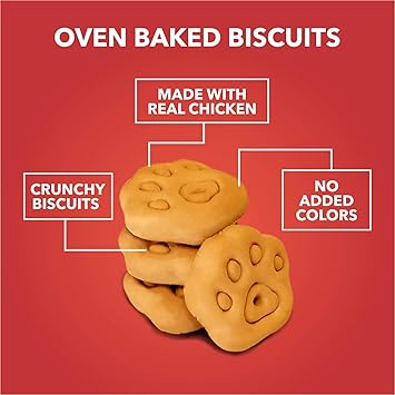 Drools Dog Treat Biscuits, Chicken and Egg Flavor Jar