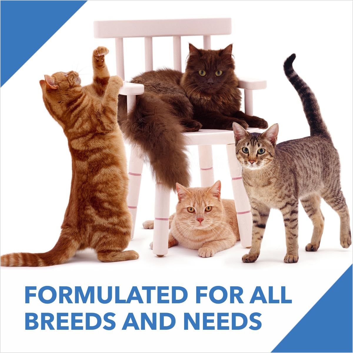 Drools Mackerel Adult Cat Dry Food